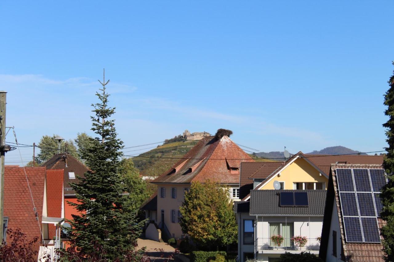 Ferienwohnung Im Weingewoelbe Staufen im Breisgau Bagian luar foto